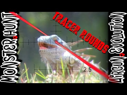 Видео: ЭПИЧЕСКИЕ ТРАССИРОВОЧНЫЕ ПУЛИ В ЗАМЕДЛЕННОЙ СЪЁМКЕ | Охота на динозавров-игуан | Эволюция пневмат...