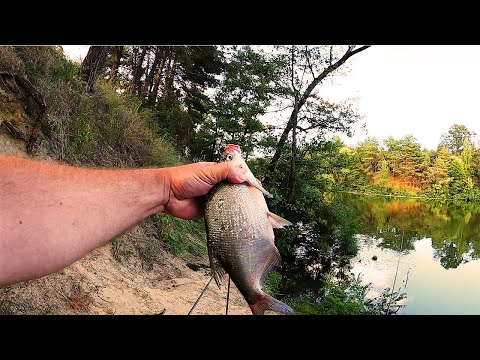Видео: Рыбалка на реке Стугна. Рыба есть и она ест)))