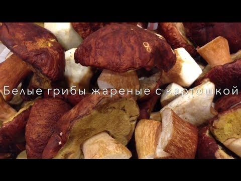 Видео: Белые грибы жареные с картошкой