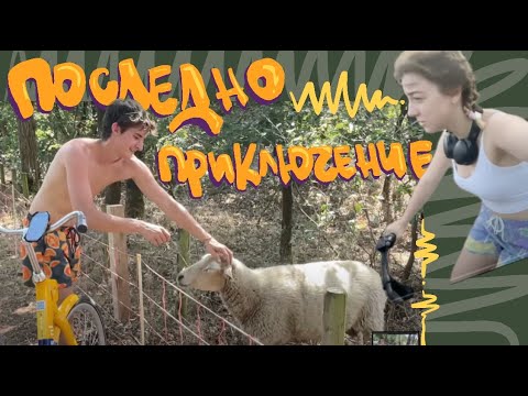 Видео: Официалното връщане в България