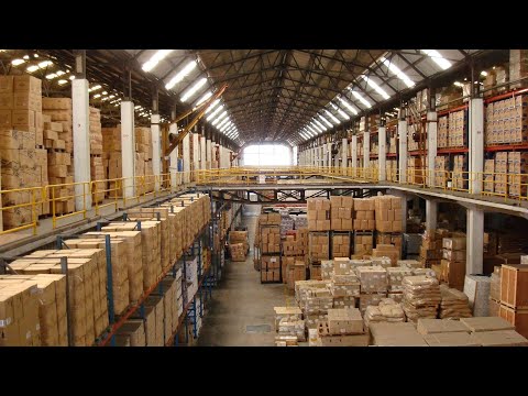 Видео: Зеленский сообщил о использовании Фламинго. Общение с чатом