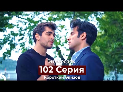 Видео: Зимородок 102 Cерия (Короткий Эпизод) (Русский дубляж)
