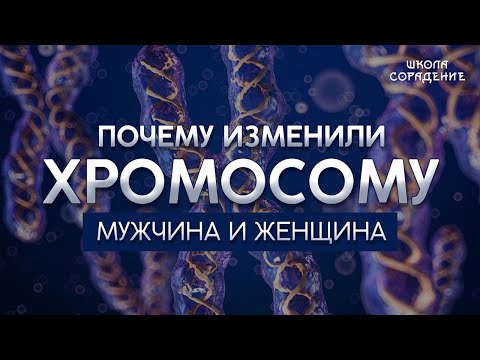 Видео: Мужчина и женщина. Взаимодействие в развитии. #Гарат #МужчинаЖенщина #ХYхромосомы