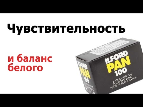 Видео: Чувствительность и баланс белого. Летняя фотошкола