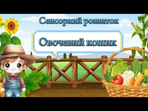 Видео: Сенсорний розвиток "Овочевий кошик"