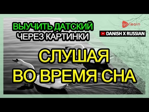 Видео: Выучить датский через картинки |датский словарь Слушая во время сна | Golearn