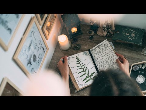 Видео: Моё Рабочее Место ✨ Update ✨ Папоротники