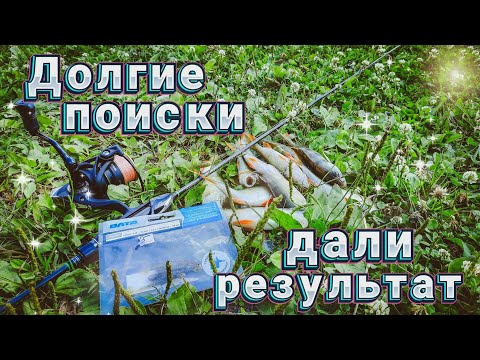 Видео: Рыбалка на спиннинг! Долгие поиски ОКУНЯ дали результат...