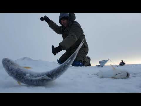 Видео: Залив провал "Бугры" ловим хариуса на мормышку