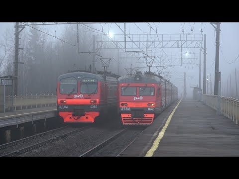 Видео: Утро, туман. Движение поездов через платформу Лесное