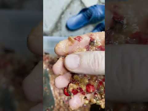 Видео: За 1 час намыл 1 кг чистого золота. Семен боярышника сливолистного.