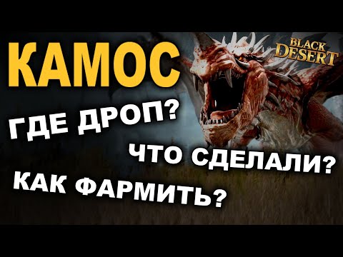 Видео: КАМОС: Где дроп? Новое расписание. Фарм боссов в БДО (BDO - Black Desert)