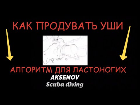 Видео: ПРОДУВКА УШЕЙ! Алгоритм действий для дайверов.