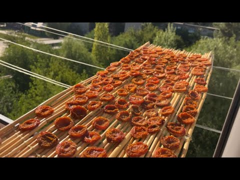 Видео: Как сушить АБРИКОСЫ- Вкусная  КУРАГА в домашних условиях с обычным абрикосом /Qaysı ev şəraitində.