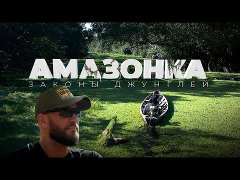 Видео: Опасные Леса Амазонки. Что Скрывают Джунгли Латинской Америки?