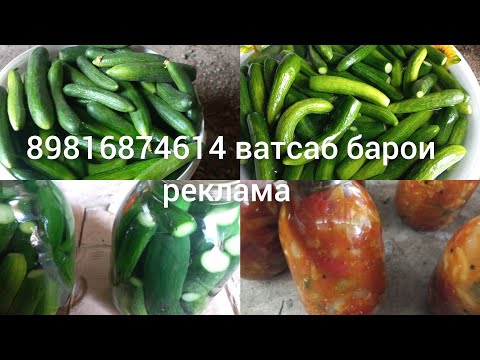 Видео: мора аз расия ки сур кардабошад 🤔🤔🤔🤔💞💞