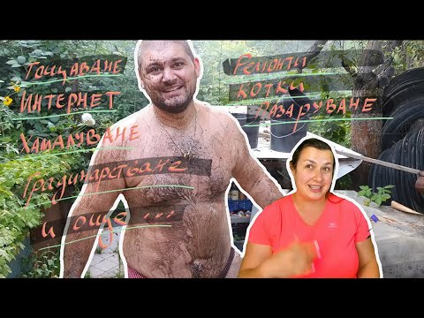 Видео: Живот на село: Неочакваните приключения на нашата почивка! 🌴🐾