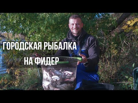 Видео: ОСЕННЯЯ РАЗДАЧА! Рыбалка на фидер в октябре