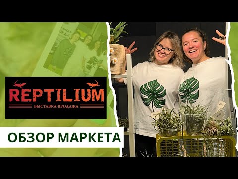 Видео: Рептилиум - БОЛЬШАЯ выставка в Москве: КАК ЕСТ МУХОЛОВКА и КТО ТАКАЯ АХАТИНА