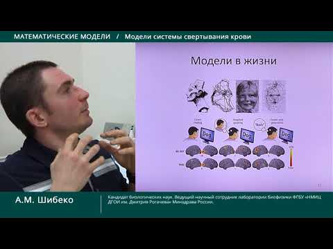 Видео: Математические модели, модели системы свертывания крови
