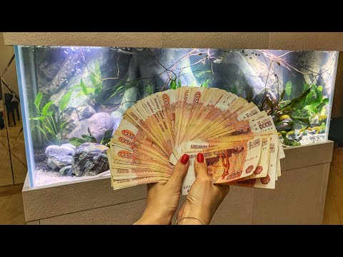 Видео: Построил Аквариум для Пираний за 700 000 руб. Первые Потери. Афоня Скат
