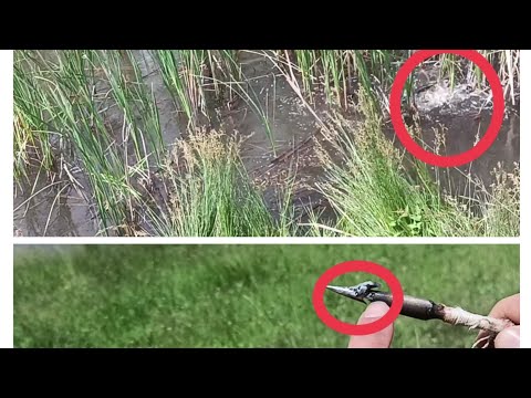 Видео: Рыбалка с рогаткой 2023!!!Самодельная стрела,в форме гарпуна.