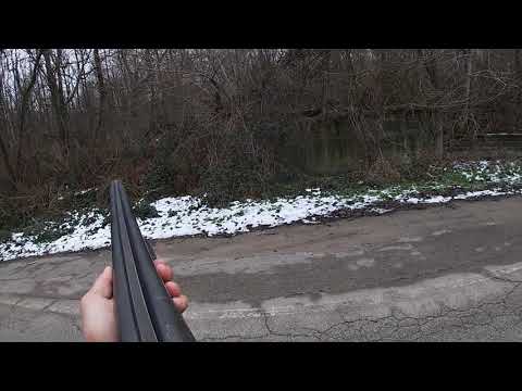 Видео: Лов на дива свиня /hunting wild boar