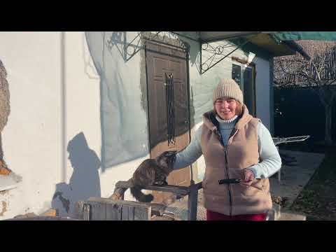 Видео: НУ НАРЕШТІ ВИПРАВИЛИ ПІДВІКОННЯ👩🏼‍🦳ЗІБРАЛА ВИНОГРАД НАВЕЛА ПОРЯДОК НА ПОДВІРЇ🧹МУРКА ВИНИЩУВАЧКА 💃🏼