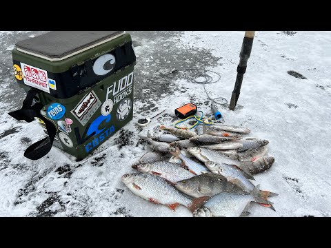 Видео: Перша Крига 2023 - Зимова Ловля На мормишку.