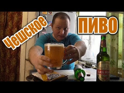 Видео: Пью пиво "ZLATA PRAHA" и душа рада...