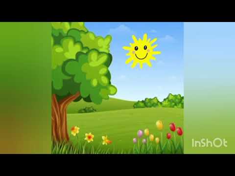 Видео: Чому листя восени змінює колір.