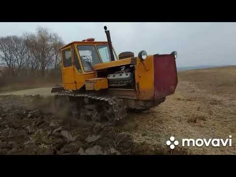 Видео: Гусеничные тракторы Т-150 пашут поля! T-150 crawler tractors plow fields