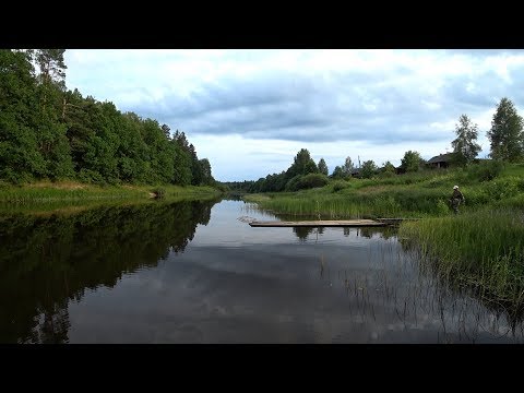 Видео: Река Керженец. Покровское. Нижегородская область. Семёновский район.