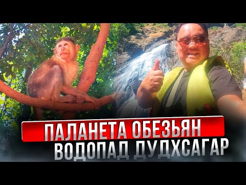 Видео: Обязательно к посещению на Гоа. Но нужно быть осторожным.