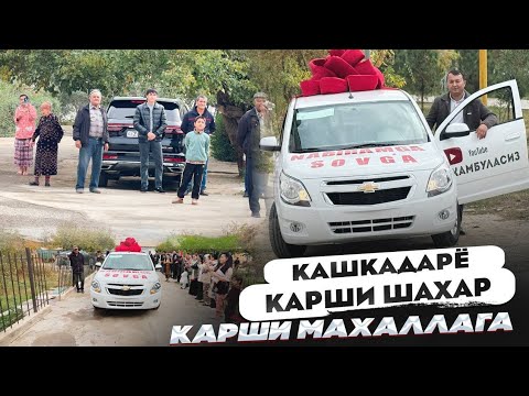 Видео: КУПОРМА КАЙИШ ПАВТОР ВОЙ ДОД