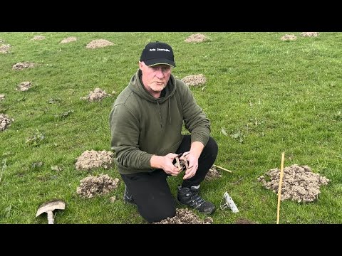 Видео: Дневная ловушка для кротов.