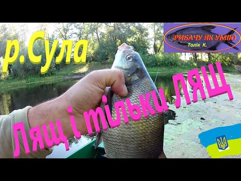 Видео: #СУЛА# ЛЯЩ на ПОПЛАВОЧКУ#РибачуЯкУиію