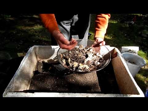 Видео: Фидерная ловля. Соxранение и pазведение червей в домашиx условияx.