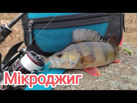 Видео: Окунь в ОЧЕРЕТІ на спініг зимою ловля окуня на мікроджиг рибалка 2024