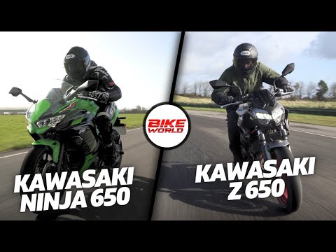 Видео: Kawasaki Ninja и Z650 | Один и тот же двигатель, два разных мотоцикла. Все еще весело?