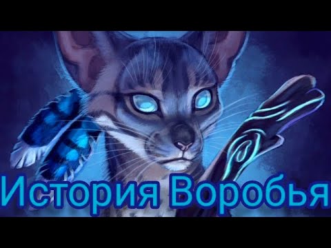 Видео: История Воробья/Jayfeather'story ( Заказ И Моя Версия ) Коты - Воители