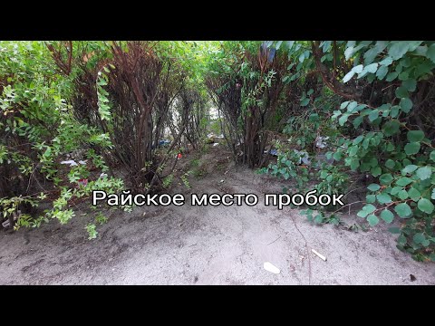 Видео: ✔️Поиск пробок нашел райское место пробок в Германии 🇩🇪✔️