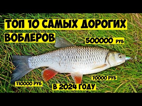 Видео: ШОК от таких цен на ВОБЛЕРЫ НА ГОЛАВЛЯ в 2024 году! Топ самых дорогих и редких воблеров ТОП ПРИМАНОК