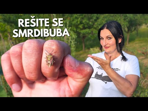 Видео: Самые Важные Шаги Для Успешной Борьбы ПРОТИВ ВОНЮЧЕК