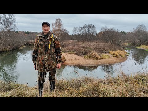 Видео: Прогулка вдоль реки Молокча / 26.10.24