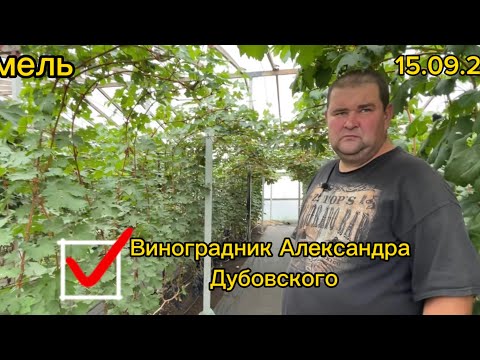 Видео: # 10 15.09.2023 Гомель. В гостях на винограднике Александр Дубовский. Часть 2/2