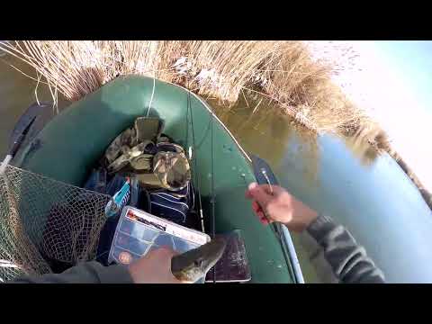 Видео: Щука на крупную резину Наловил ПОЛ МЕШКА щук на LJ Kubira 7