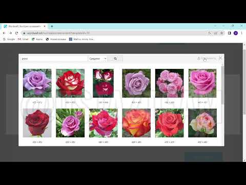 Видео: 1сабақ. Wordwall тіркелу жолы