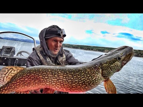 Видео: КРОКОДИЛ НА КРОКОДИЛ! ПОИСК РЫБЫ СОВРЕМЕННЫМ ЭХОЛОТОМ