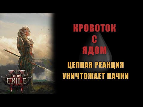 Видео: Билд УДАР ЩИТОМ через кровь и яд в PoE 2 (билд в процессе) [Path of Exile 2]
